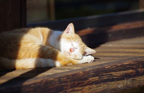 疲れているのに眠れない…不眠でお悩みの方はAMOSまで