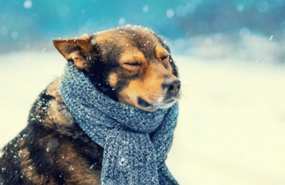 身体が冷えてむくみやすくなる季節に…横浜駅近くのAMOSで冬のむくみを解消しましょう！